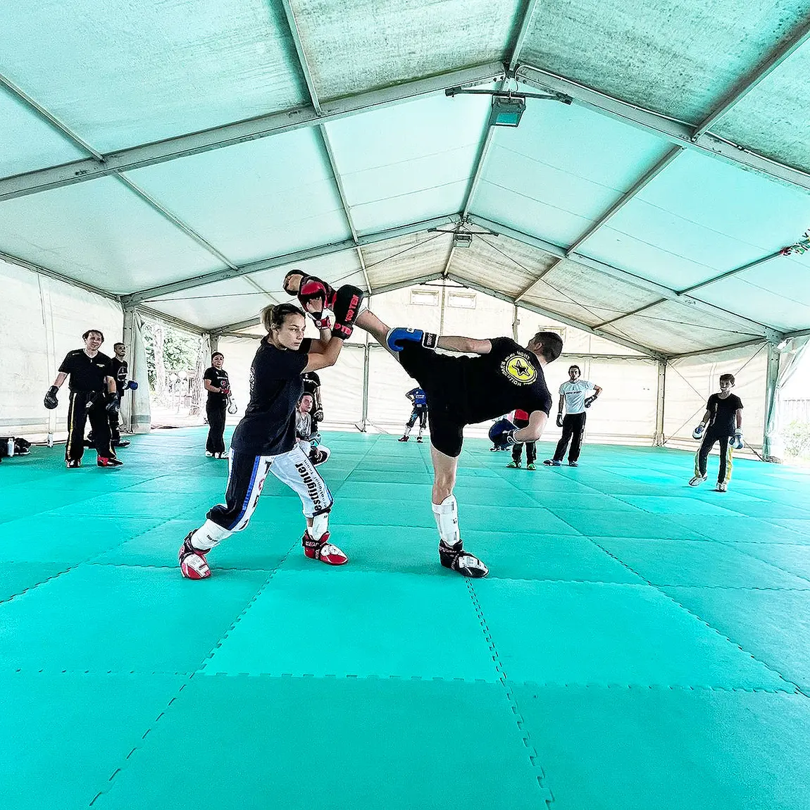 Evento Point Fight Galleria • Combat Camp Cesenatico